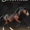 Les Chevaux. Libres et fidèles, Paula Hammond