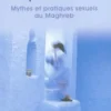 L'esprit de sérail. Mythes et pratiques sexuels au Maghreb, Edition revue et corrigée, Malek Chebel