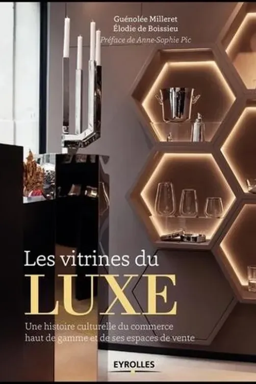 Les vitrines du luxe. Une histoire culturelle du commerce haut de gamme et de ses espaces de vente, Elodie de Boissieu