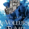 Les voleurs de fumée Tome 1, Sally Green