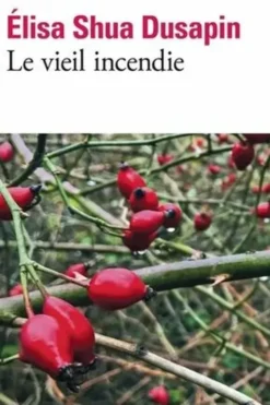 Le vieil incendie, Elisa Shua Dusapin