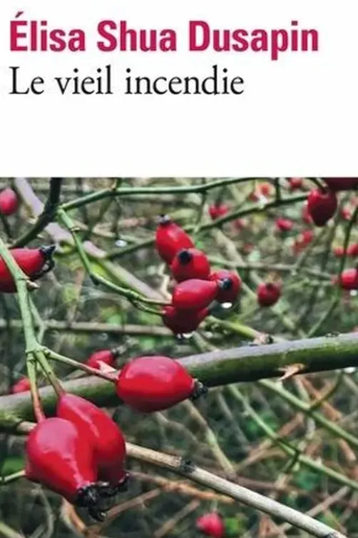 Le vieil incendie, Elisa Shua Dusapin