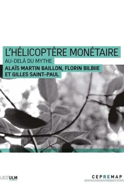 L'Hélicoptère monétaire. Au-delà du mythe, Florin Bilbiie