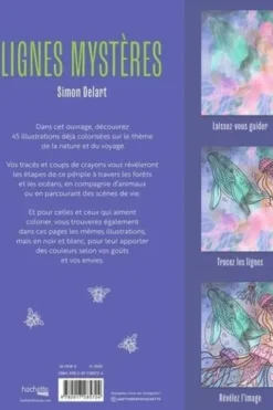 Lignes mystères, Simon Delart