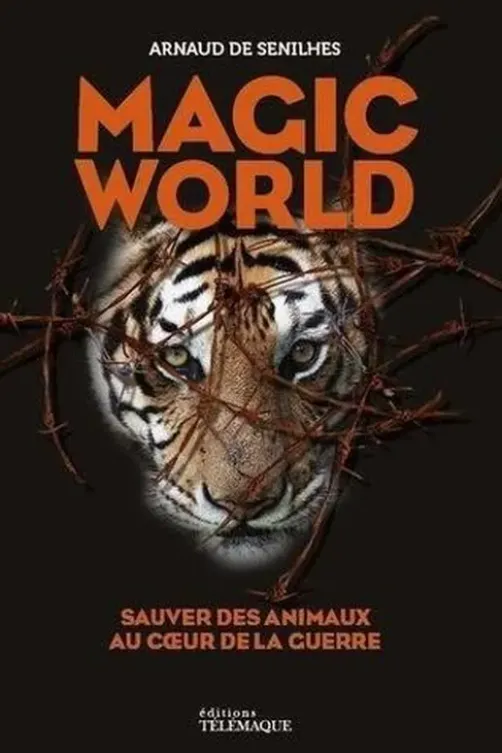 Magic world, Arnaud de Senilhes