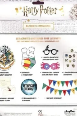 Ma pochette d'Anniversaire Harry Potter. Des activités et des cadeaux pour 12 enfants, Play Bac