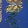 Méditerranée-Mer vivante 2019-2020, Collectif
