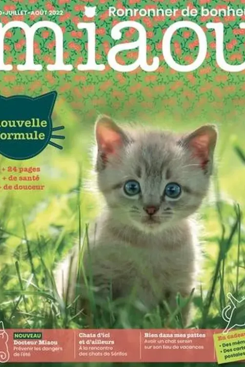 Miaou N° 20, José Fonollosa