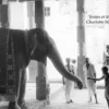 Mémoires de l'Inde, Charlotte Schmid