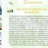 Mon DIY de poche spécial aromathérapie, Léa Duteil