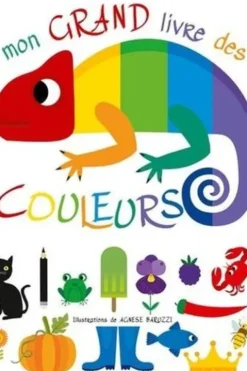 Mon grand livre des couleurs, Agnese Baruzzi