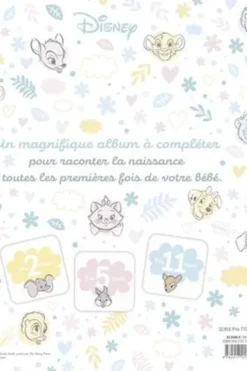 Mon livre de naissance, mes premiers souvenirs, Disney