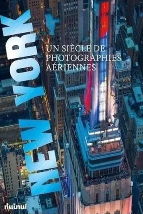New York. Un siècle de photographies aériennes, Peter Skinner