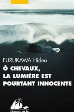 O chevaux, la lumière est pourtant innocente, Hideo Furukawa