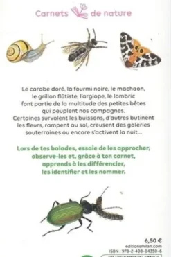 Petites bêtes de la campagne. Chercher, observer, reconnaître, identifier, Léon Rogez