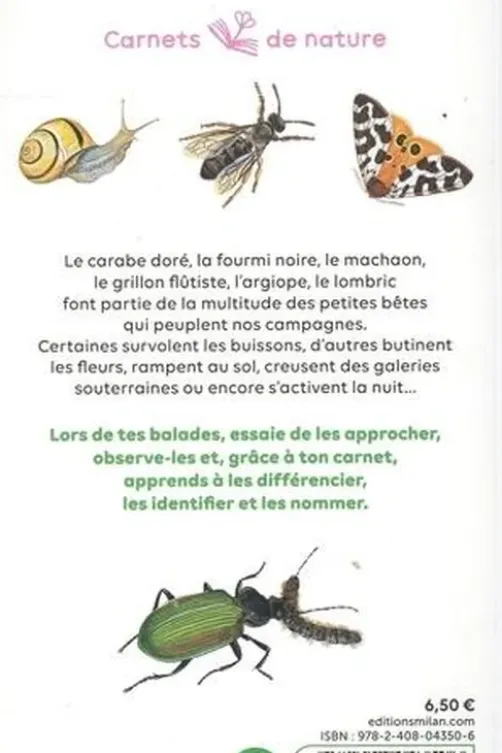 Petites bêtes de la campagne. Chercher, observer, reconnaître, identifier, Léon Rogez