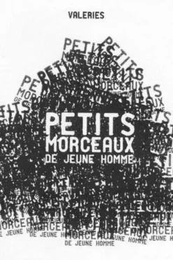 Petits morceaux de jeune homme, Valeries