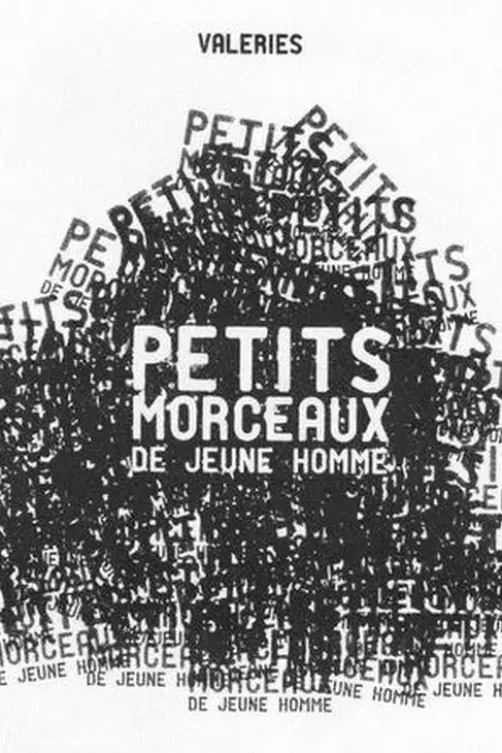 Petits morceaux de jeune homme, Valeries