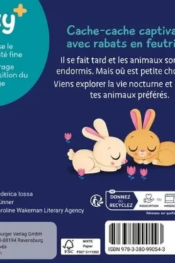 Peux-tu me trouver ? Petite chouette, Klara Tünner