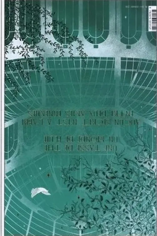 Porcelaine sous les ruines. Edition collector, Ada Vivalda