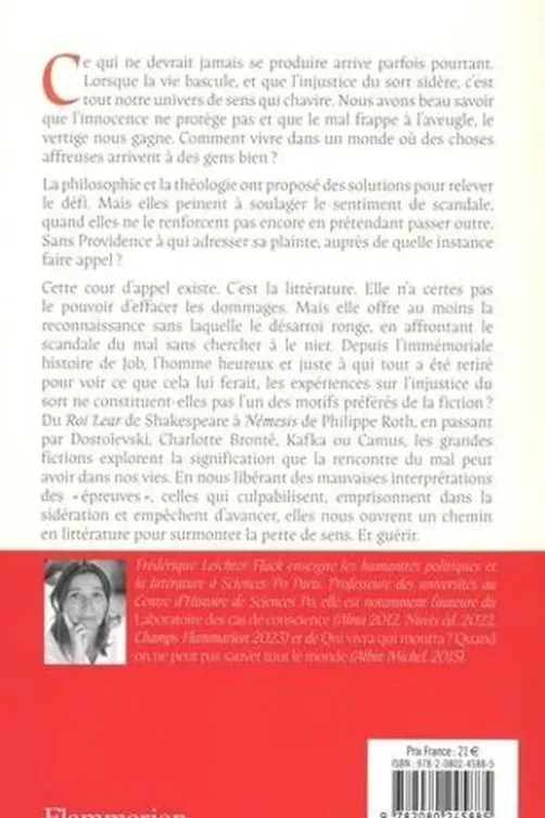 Pourquoi le mal frappe les gens bien ? La littérature face au scandale du mal, Frédérique Leichter-Flack