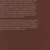 Pour une histoire culturelle de l'architecture. Essais offerts à Anne-Marie Châtelet, Shahram Abadie