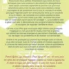 Pratiques sorcières et rituels magiques. Invoquer l'aide du monde invisible, Patrick Guérin