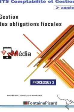 Processus 3 Gestion des obligations fiscales BTS Comptabilité et Gestion 2e année. Edition 2019-2020, Patrick Bihonda