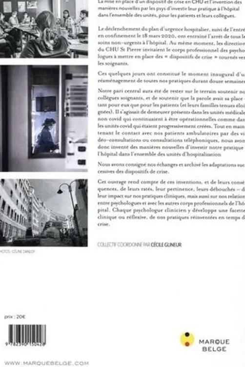 Psys dans l'urgence. Les mots de la crise sanitaire en CHU, Cecile Glineur