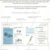 Que faire au jardin en permaculture ?, Victor Coutard