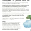 Restaurer les piliers de la vie, Ananda Fitzsimmons