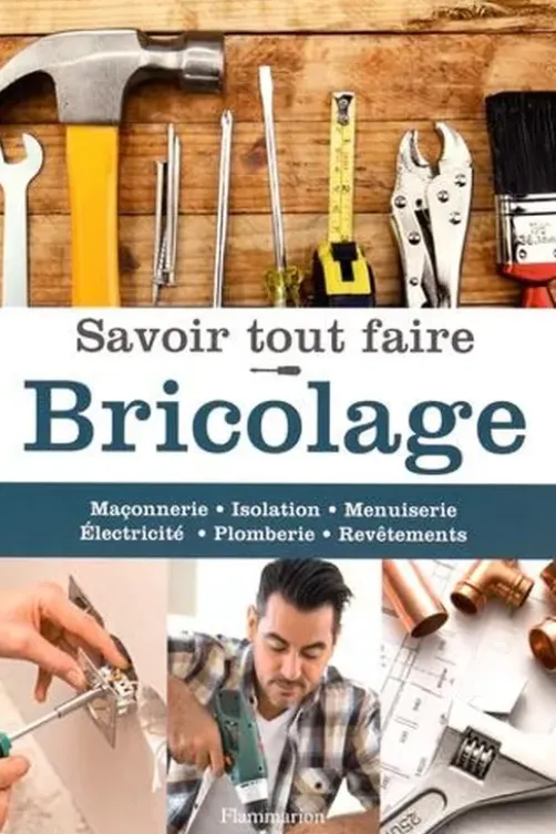 Savoir tout faire Bricolage, Michel Beauvais