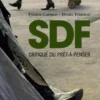 SDF. Critique du prêt-à-penser, Patrick Gaboriau