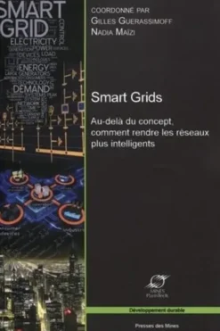 Smart Grids. Au-delà du concept, comment rendre les réseaux plus intelligents, Gilles Guerassimoff