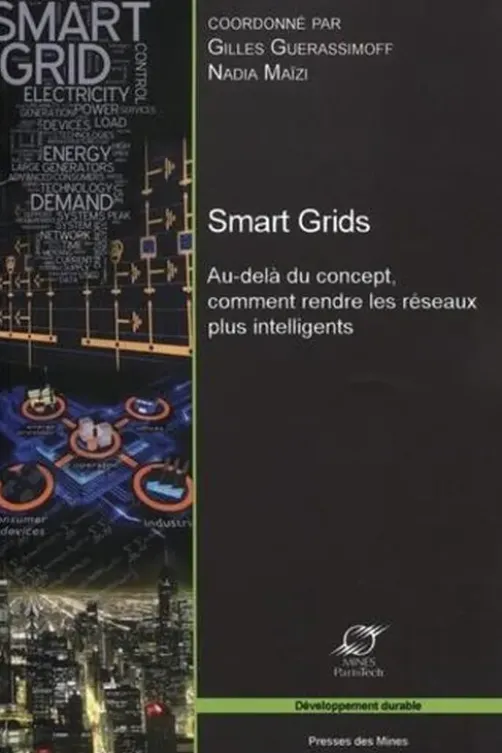 Smart Grids. Au-delà du concept, comment rendre les réseaux plus intelligents, Gilles Guerassimoff