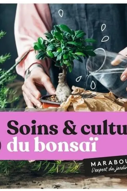 Soins & culture du bonsaï, Fiona Hopes