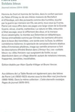 Soldats bleus. Journal intime 1914-1918, Edition revue et corrigée, Pierre Loti