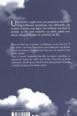 Sommeil du fils. Précédé de La maison, Julien Gaillard