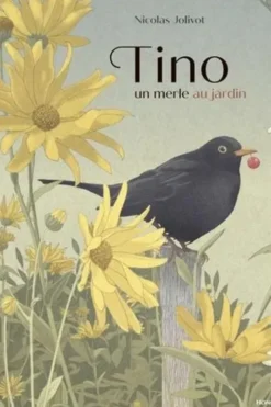 Tino, un merle au jardin, Nicolas Jolivot