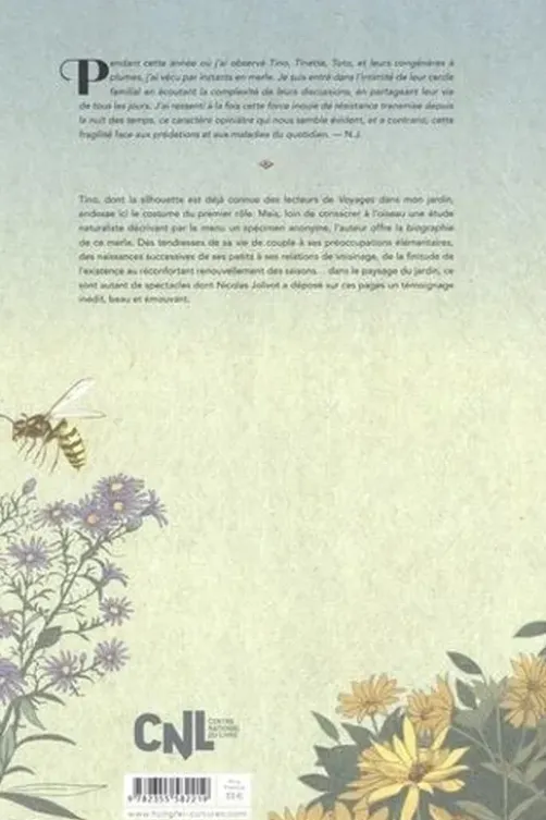 Tino, un merle au jardin, Nicolas Jolivot