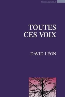 Toutes ces voix, David Léon