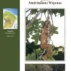 Un maître d'école chez les Amérindiens Wayanas (1994-2005), François Puzenat