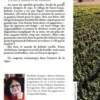 Un été d'ombre et de lumière Tome 1, Martine Delomme