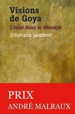 Visions de Goya. L'éclat dans le désastre, Stéphane Lambert