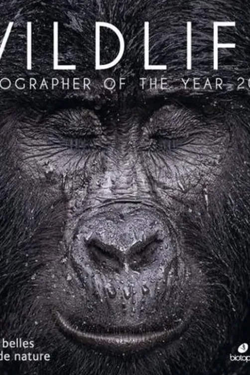 Wildlife Photographer of the Year. Les plus belles photos de nature, Edition 2021, Rosamund Kidman Cox